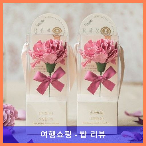 뷰티풀데코센스 비누꽃 한 송이 감사장 카네이션 2종 세트, 마브, 1개